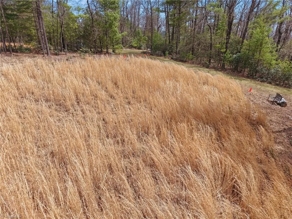 Lot 109 & 110 Pepper Bush Road Purlear, NC 28665