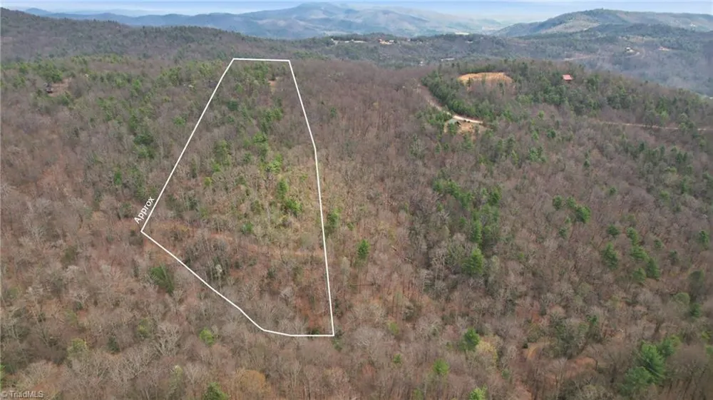 Lot 109 & 110 Pepper Bush Road Purlear, NC 28665