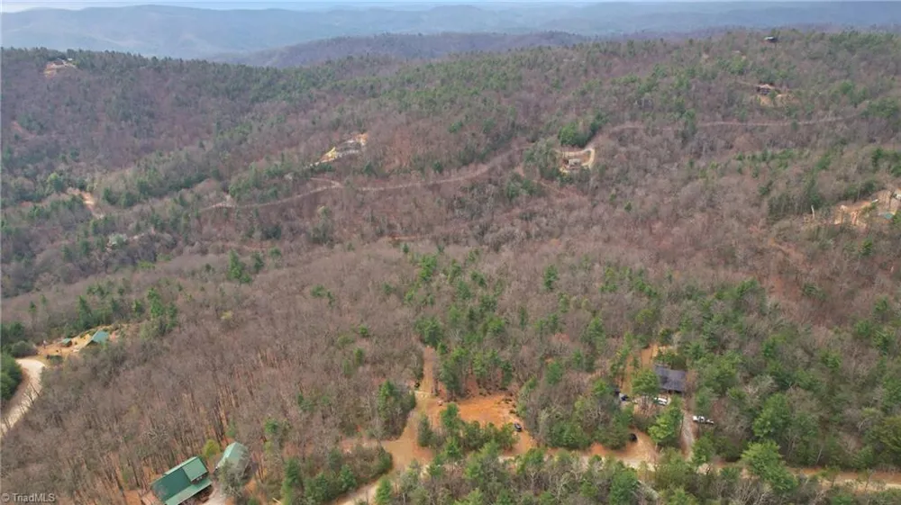 Lot 109 & 110 Pepper Bush Road Purlear, NC 28665
