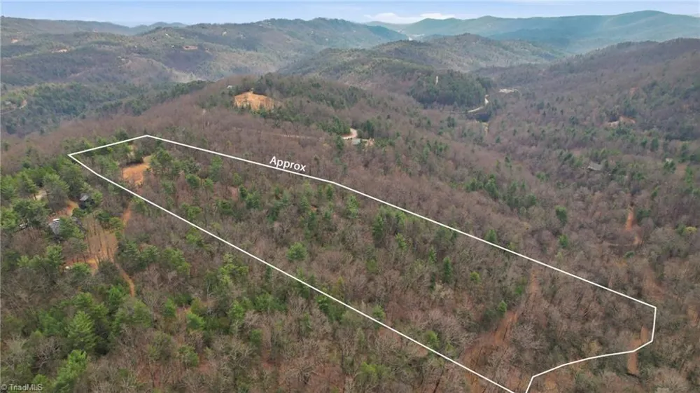 Lot 109 & 110 Pepper Bush Road Purlear, NC 28665