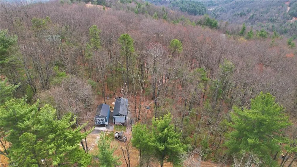 Lot 109 & 110 Pepper Bush Road Purlear, NC 28665