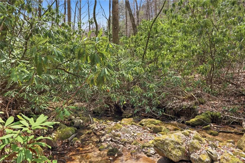 Lot 109 & 110 Pepper Bush Road Purlear, NC 28665