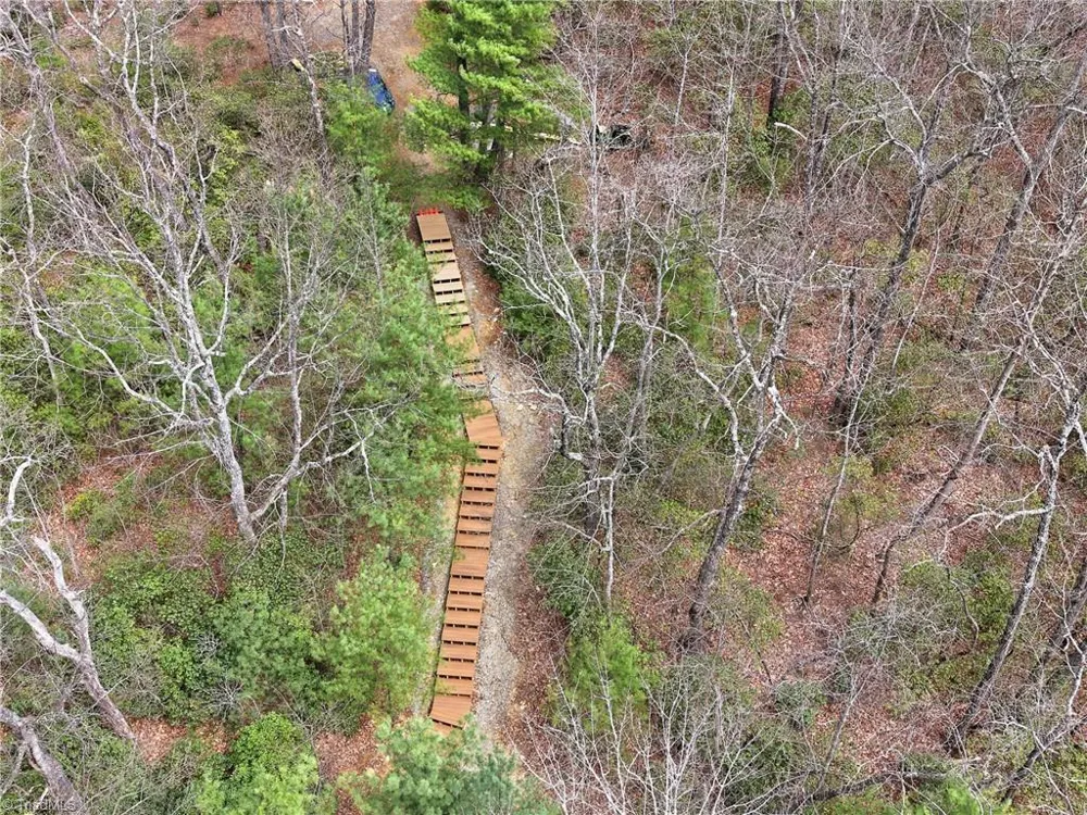 Lot 109 & 110 Pepper Bush Road Purlear, NC 28665