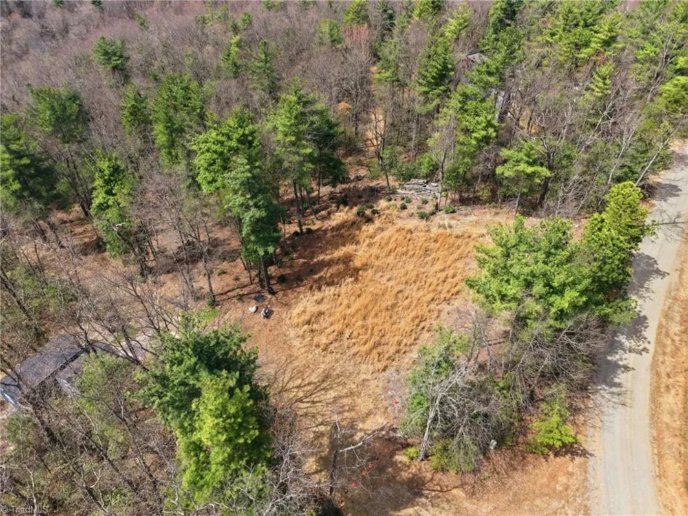 Lot 109 & 110 Pepper Bush Road Purlear, NC 28665
