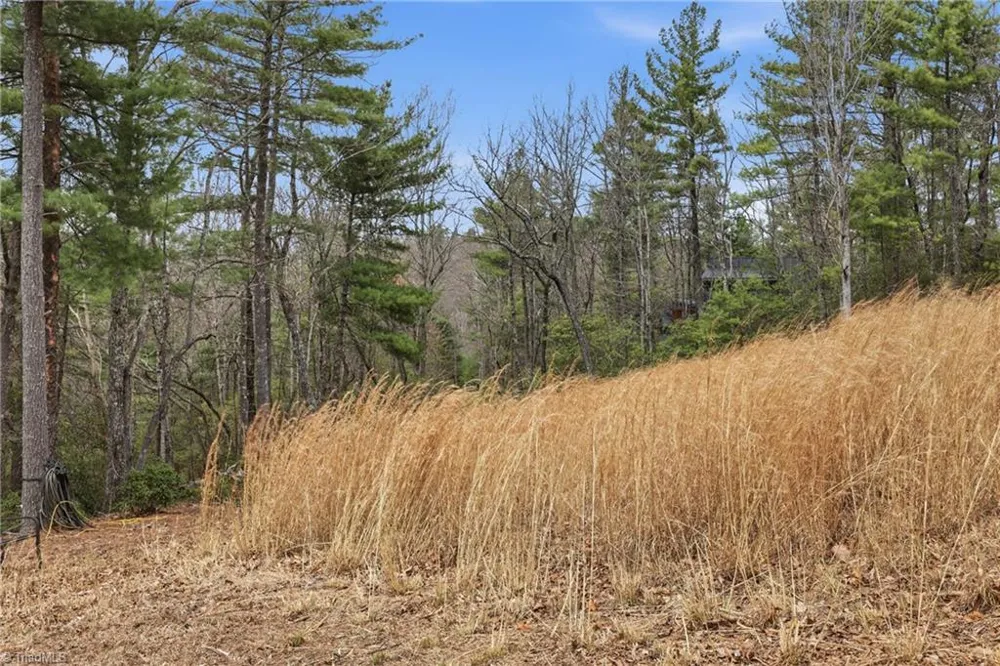 Lot 109 & 110 Pepper Bush Road Purlear, NC 28665