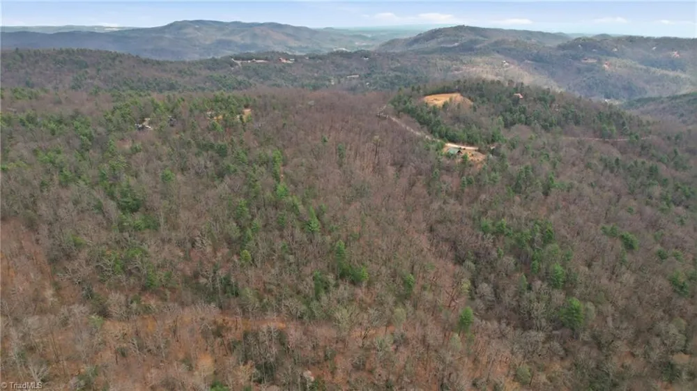 Lot 109 & 110 Pepper Bush Road Purlear, NC 28665