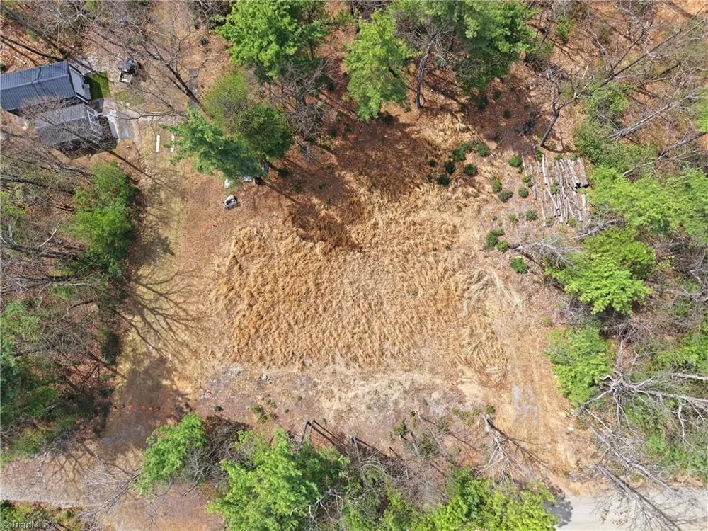 Lot 109 & 110 Pepper Bush Road Purlear, NC 28665