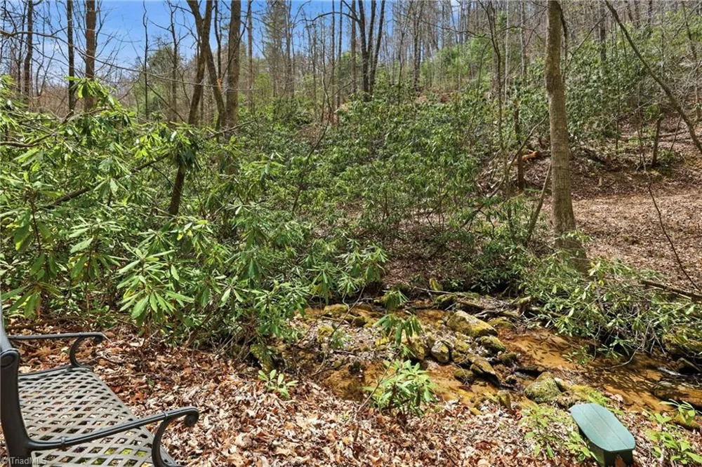 Lot 109 & 110 Pepper Bush Road Purlear, NC 28665