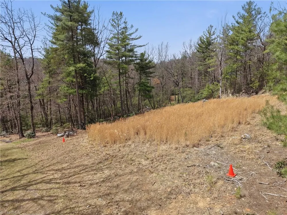 Lot 109 & 110 Pepper Bush Road Purlear, NC 28665