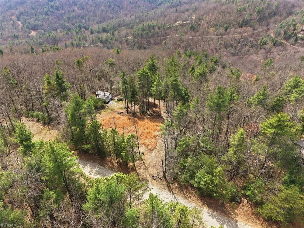 Lot 109 & 110 Pepper Bush Road Purlear, NC 28665