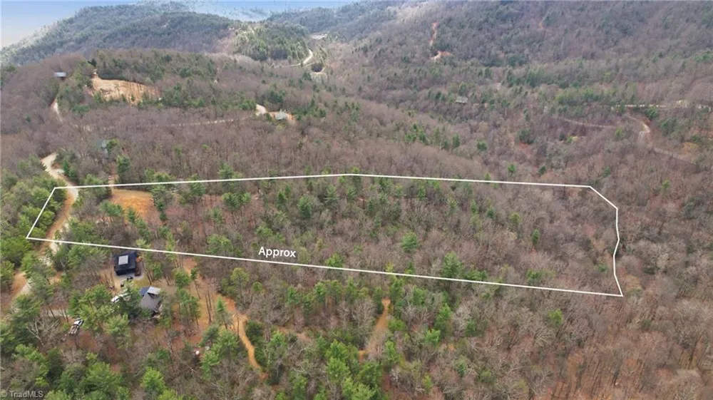 Lot 109 & 110 Pepper Bush Road Purlear, NC 28665