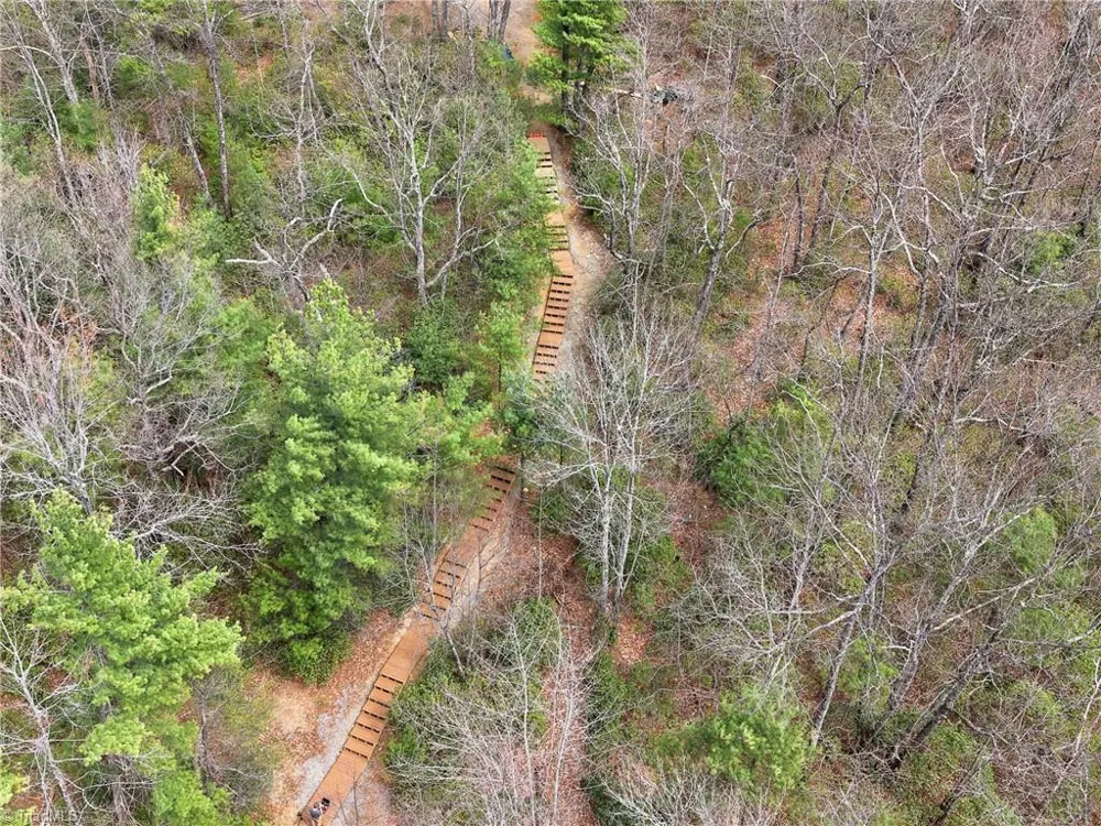 Lot 109 & 110 Pepper Bush Road Purlear, NC 28665