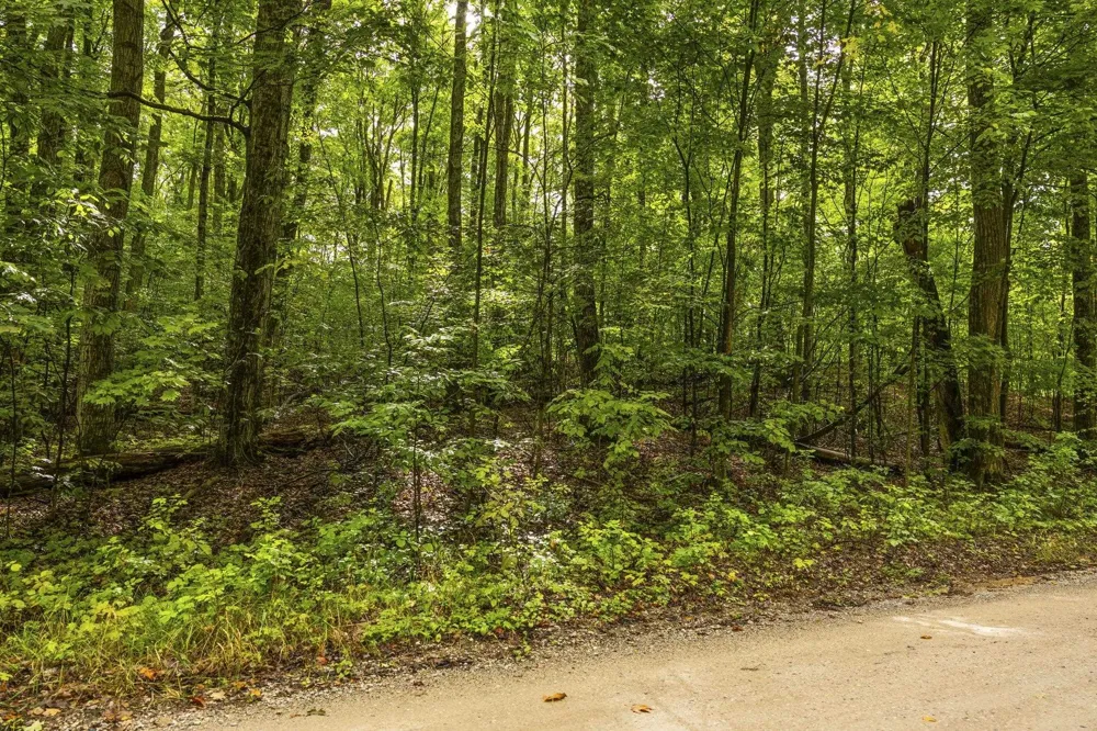 S Golden Valley Drive Empire Township, MI 49630