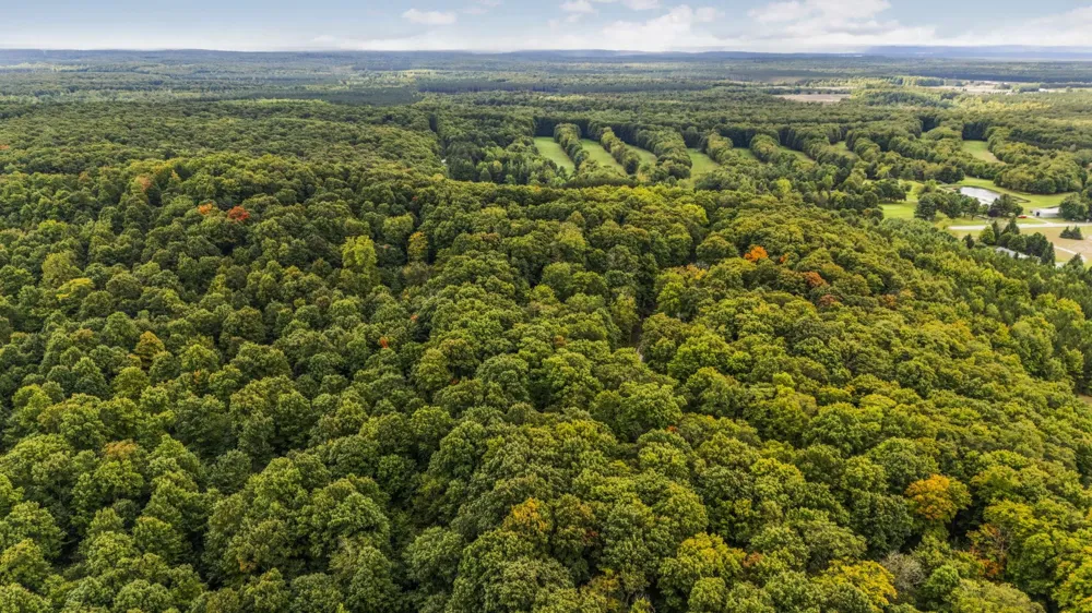 S Golden Valley Drive Empire Township, MI 49630