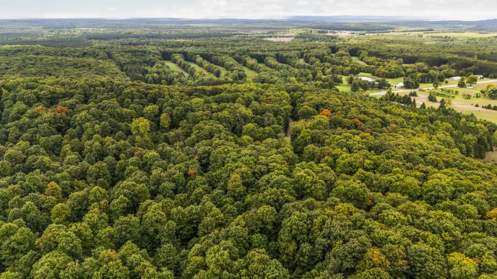 S Golden Valley Drive Empire Township, MI 49630