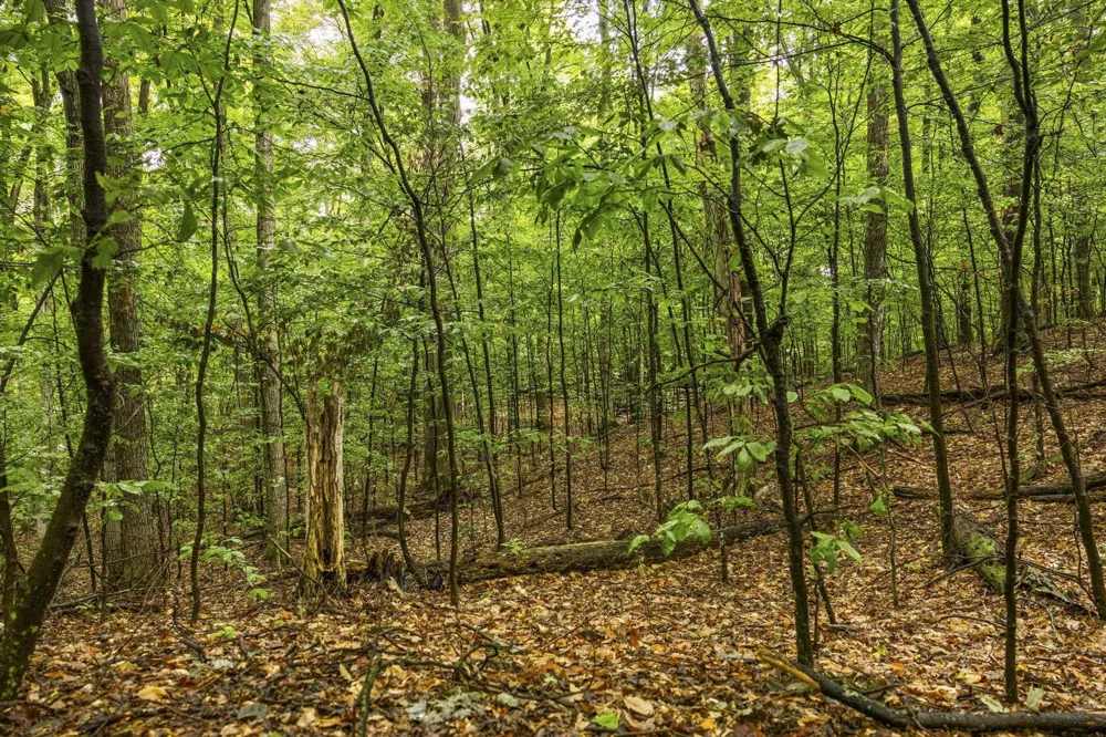 S Golden Valley Drive Empire Township, MI 49630