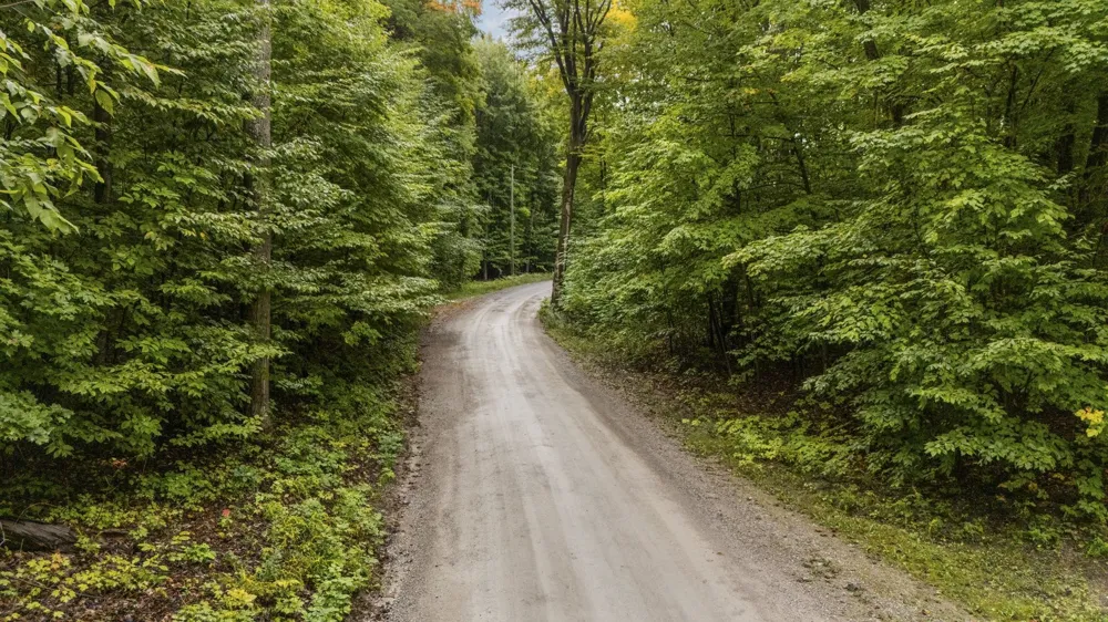S Golden Valley Drive Empire Township, MI 49630