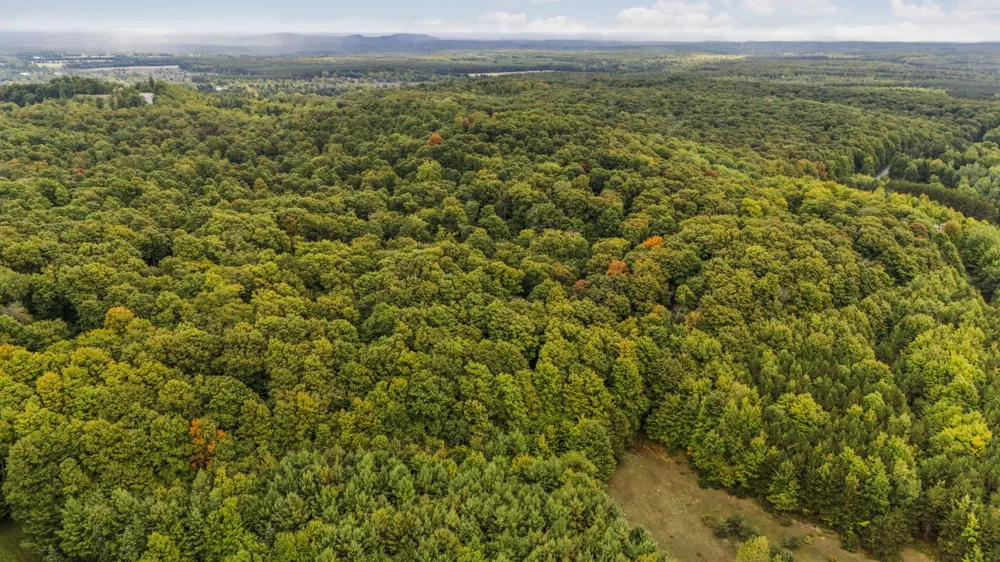 S Golden Valley Drive Empire Township, MI 49630