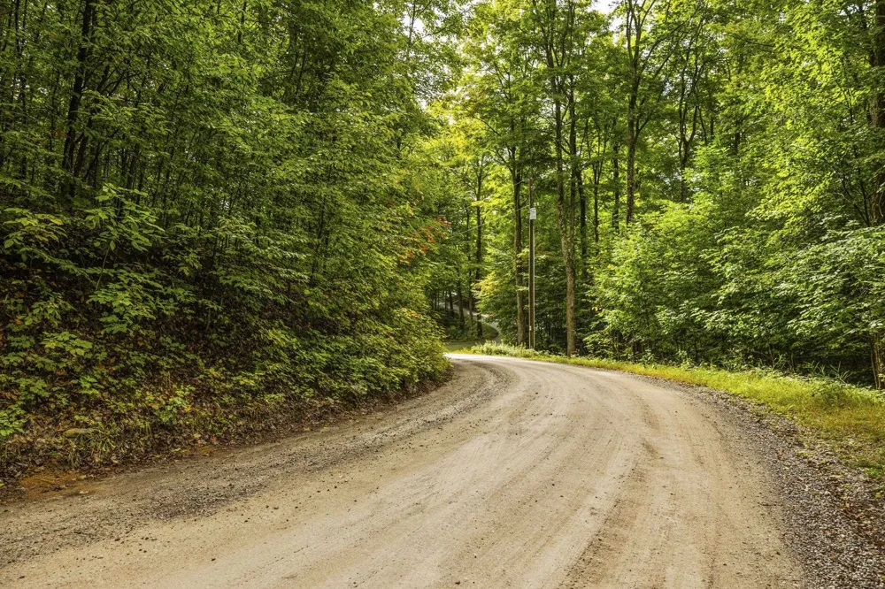 S Golden Valley Drive Empire Township, MI 49630