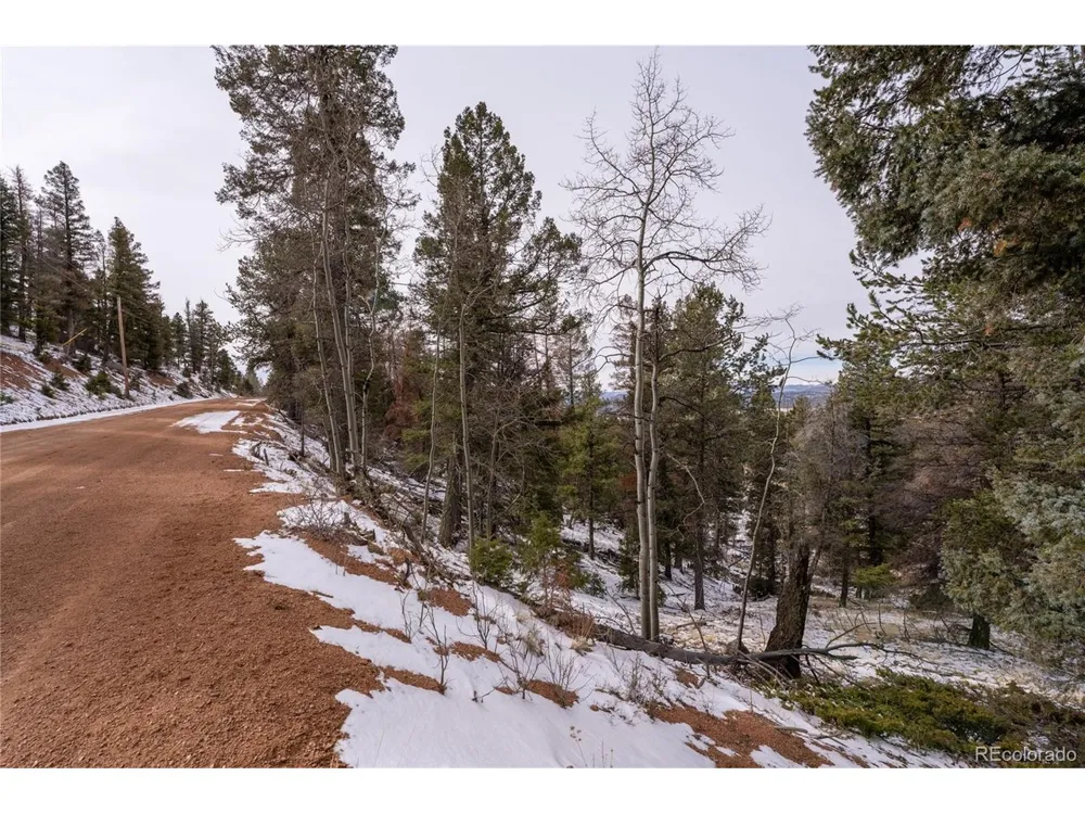 3388 Mountain Estates Road Florissant, CO 80816