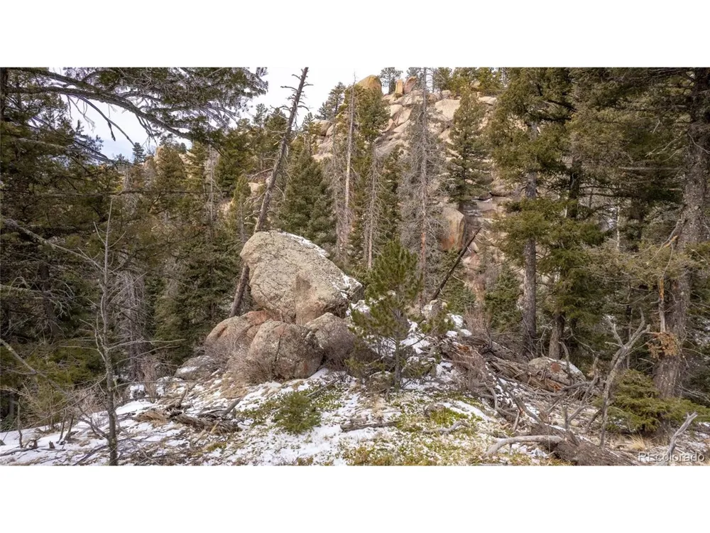 3388 Mountain Estates Road Florissant, CO 80816