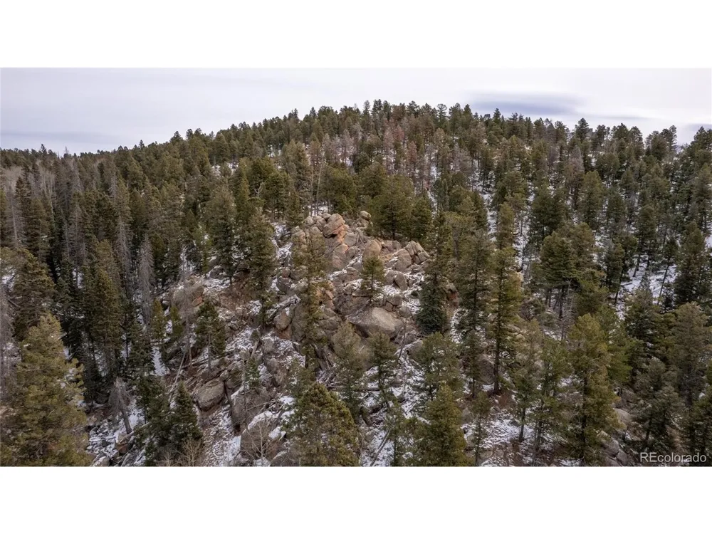 3388 Mountain Estates Road Florissant, CO 80816