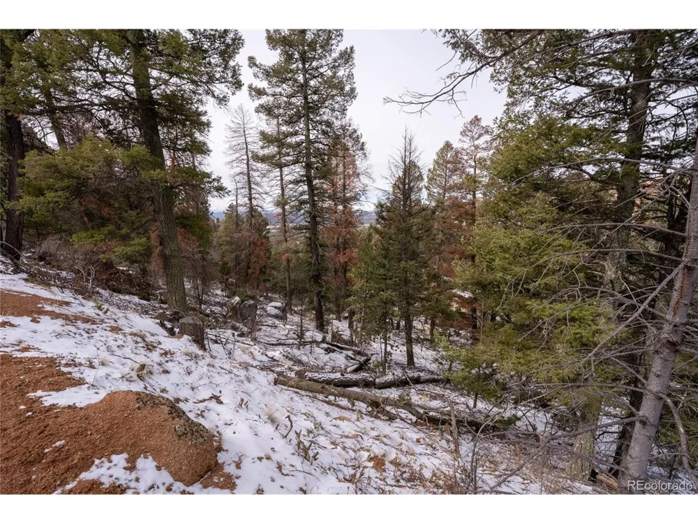 3388 Mountain Estates Road Florissant, CO 80816