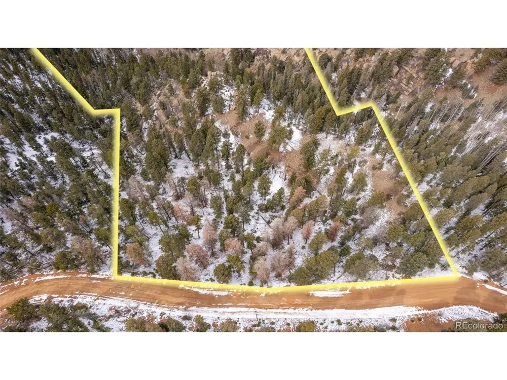 3388 Mountain Estates Road Florissant, CO 80816