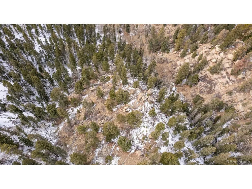 3388 Mountain Estates Road Florissant, CO 80816