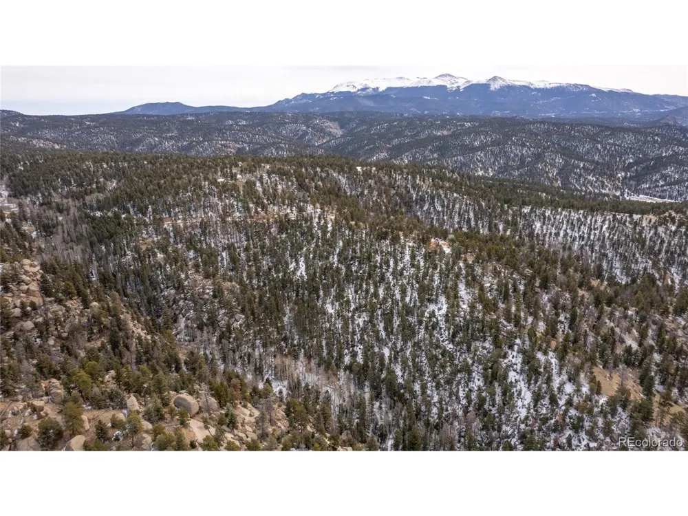 3388 Mountain Estates Road Florissant, CO 80816