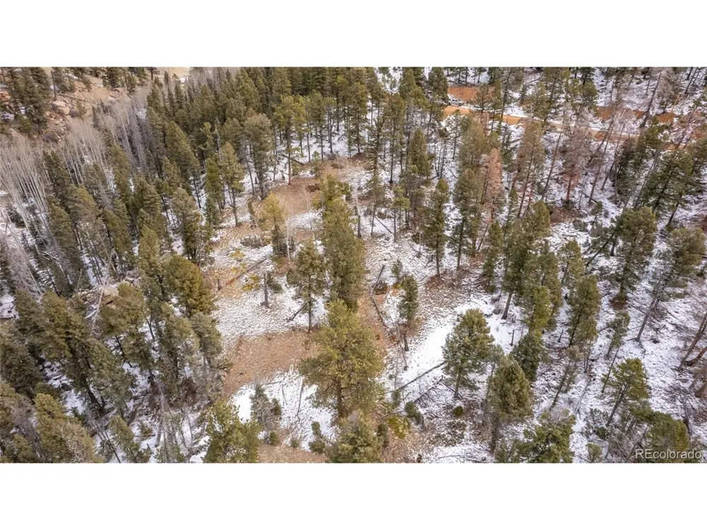 3388 Mountain Estates Road Florissant, CO 80816