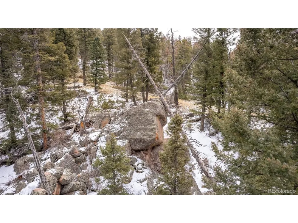 3388 Mountain Estates Road Florissant, CO 80816