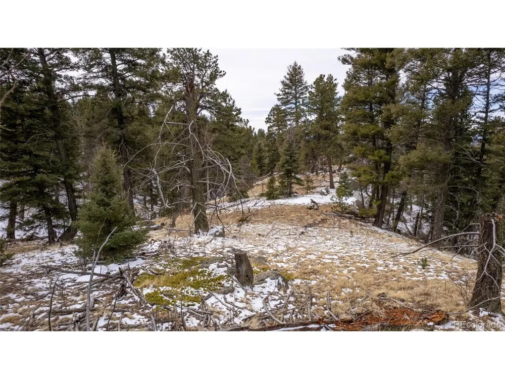 3388 Mountain Estates Road Florissant, CO 80816