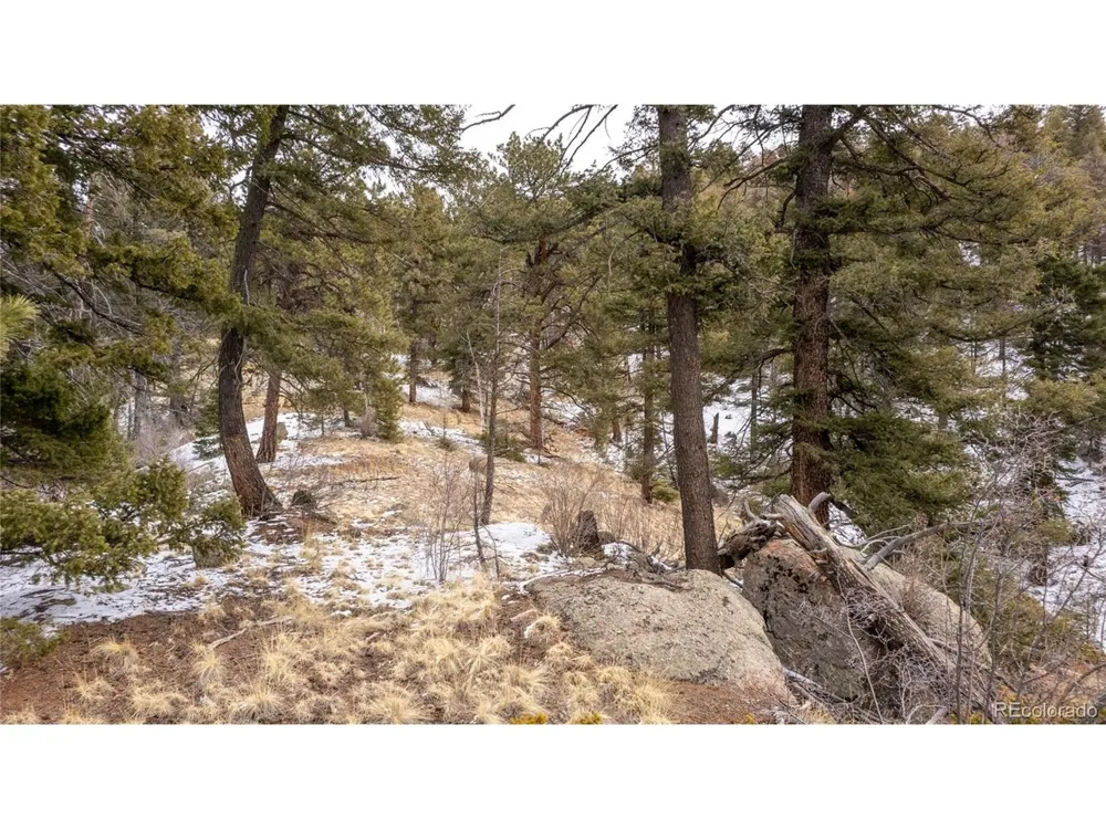 3388 Mountain Estates Road Florissant, CO 80816
