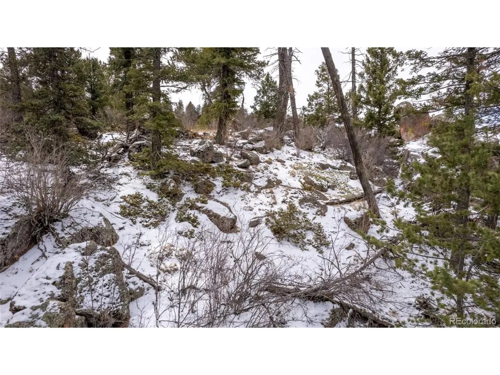 3388 Mountain Estates Road Florissant, CO 80816