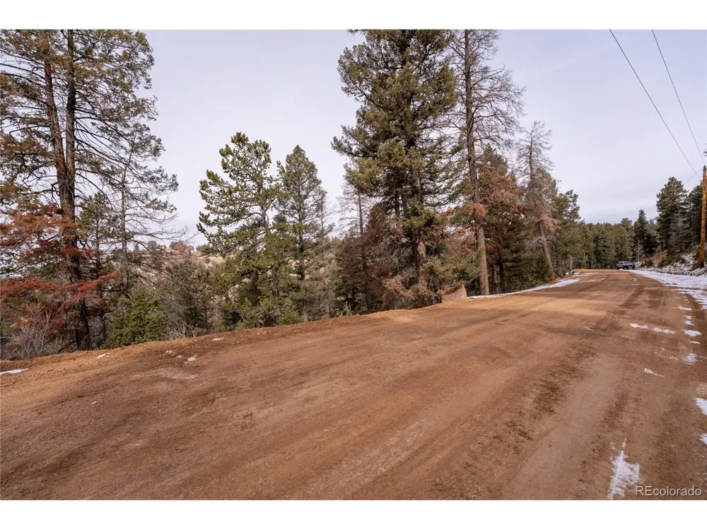 3388 Mountain Estates Road Florissant, CO 80816