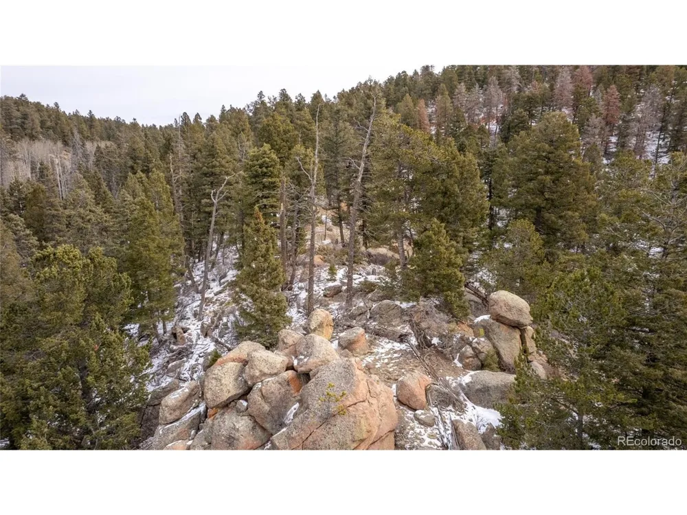 3388 Mountain Estates Road Florissant, CO 80816