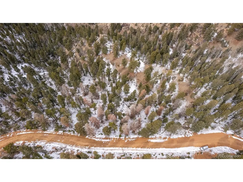 3388 Mountain Estates Road Florissant, CO 80816