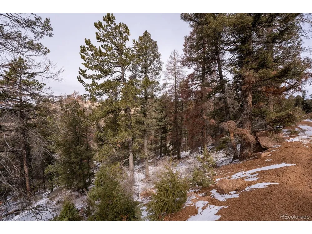 3388 Mountain Estates Road Florissant, CO 80816