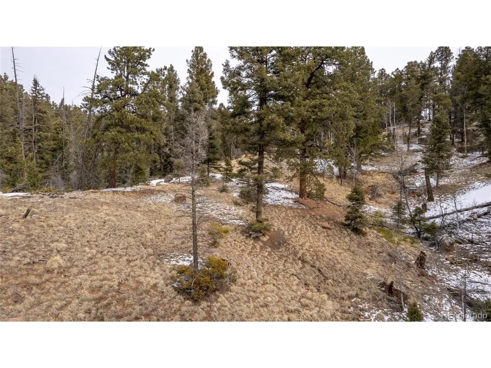 3388 Mountain Estates Road Florissant, CO 80816