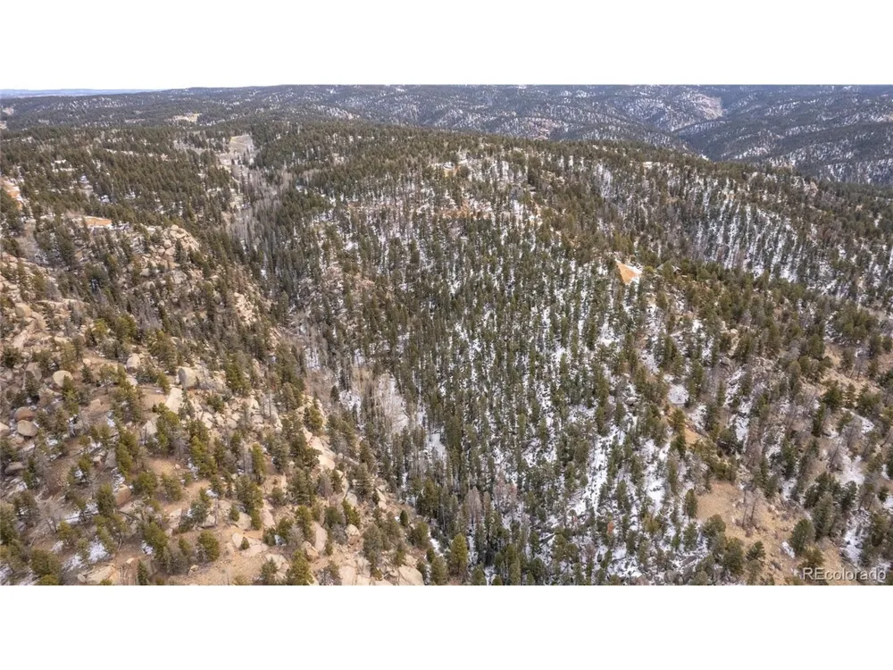 3388 Mountain Estates Road Florissant, CO 80816