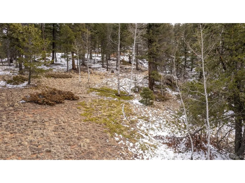 3388 Mountain Estates Road Florissant, CO 80816