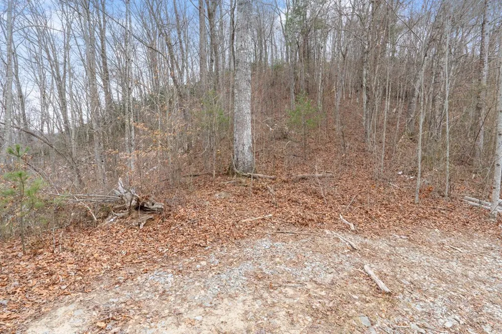 Parachute Ridge Glenville, NC 28736