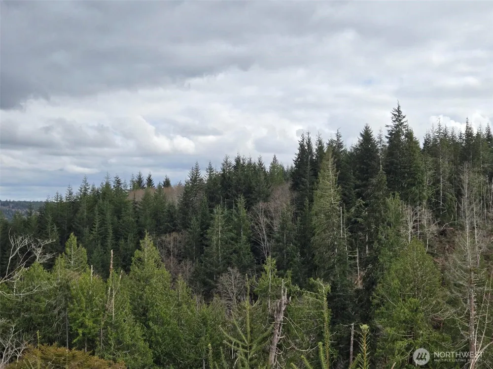 0 Off of Hoquiam Wishkah Road Hoquiam, WA 98550