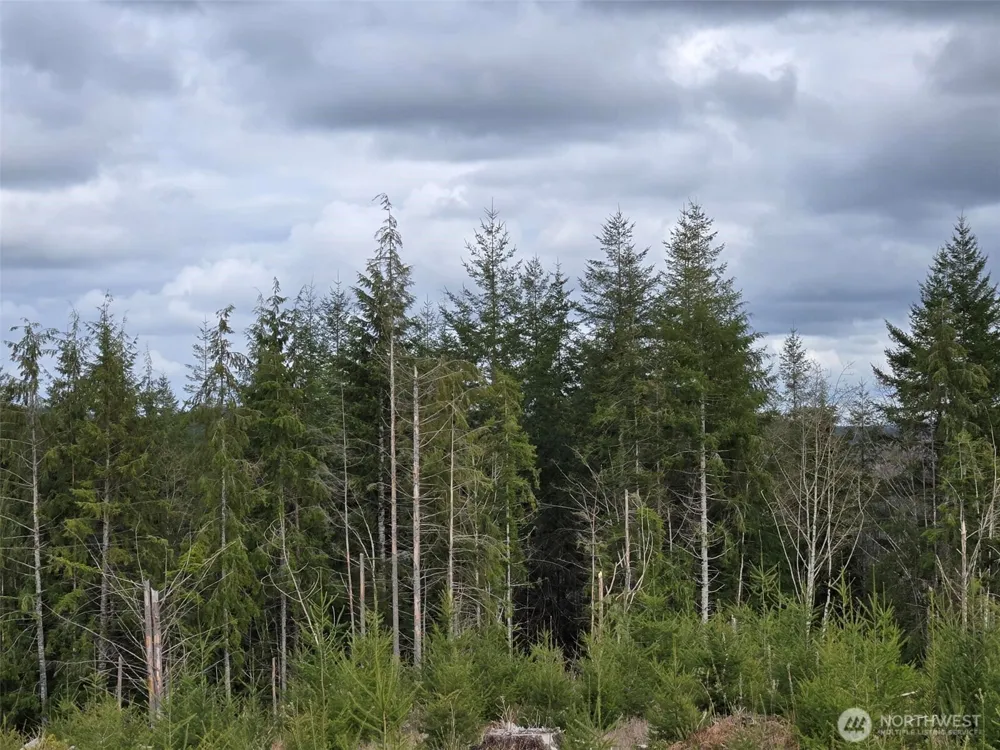 0 Off of Hoquiam Wishkah Road Hoquiam, WA 98550