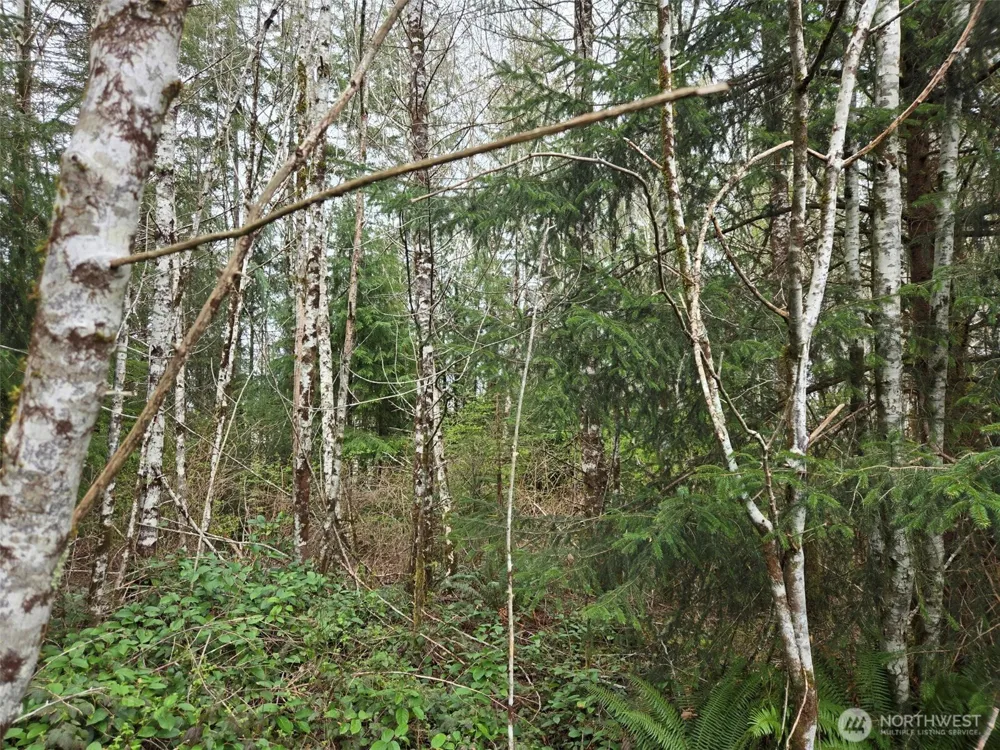 0 Off of Hoquiam Wishkah Road Hoquiam, WA 98550