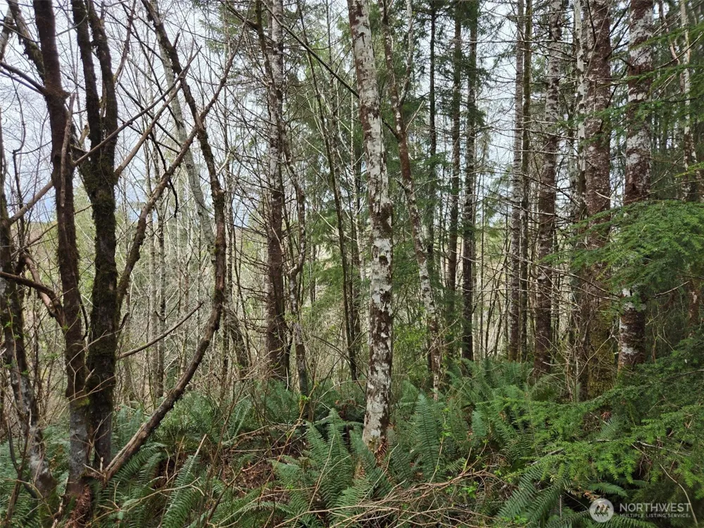 0 Off of Hoquiam Wishkah Road Hoquiam, WA 98550