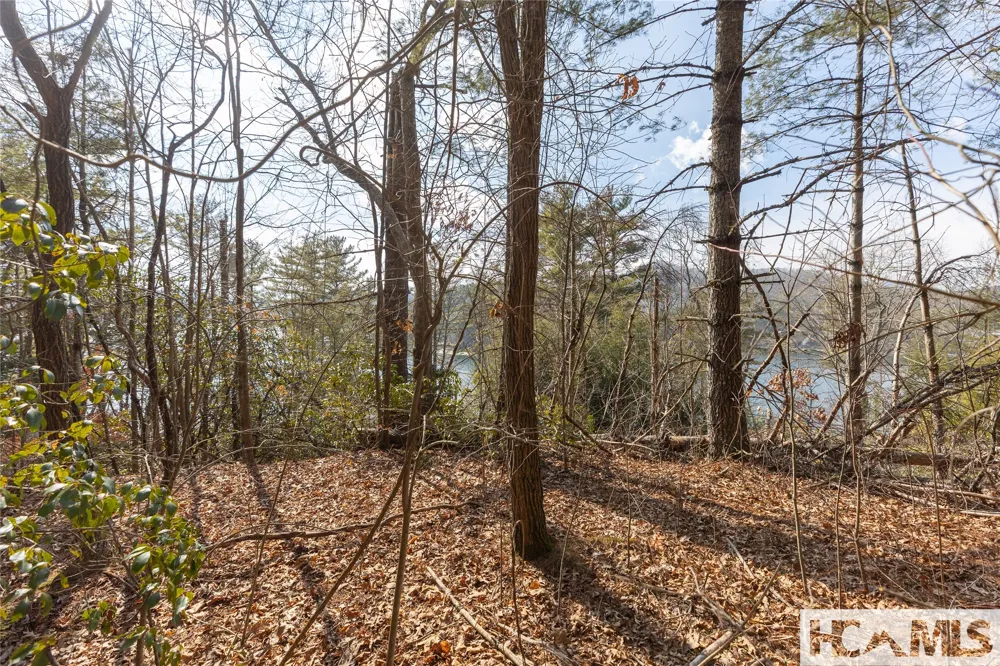 B&C Knob Hill Road Glenville, NC 28736