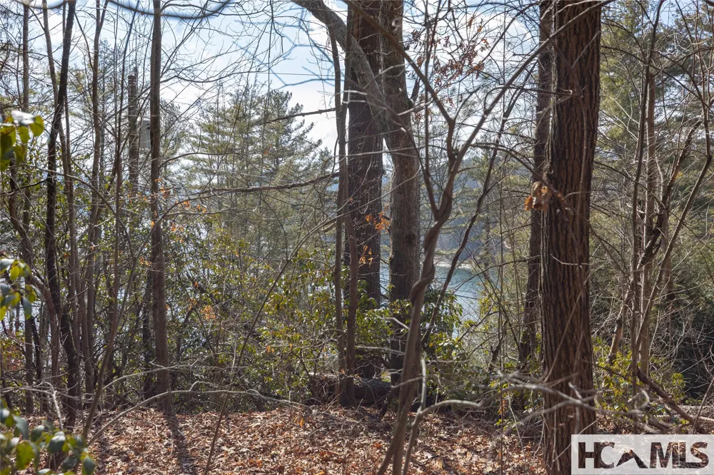 B&C Knob Hill Road Glenville, NC 28736