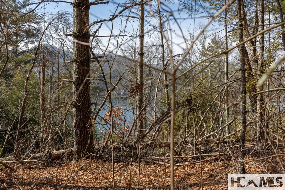 B&C Knob Hill Road Glenville, NC 28736